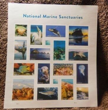 National Marine Sanctuaries 2022 photo review