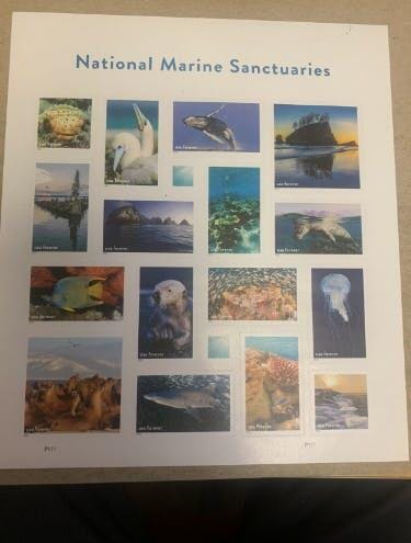 National Marine Sanctuaries 2022 photo review