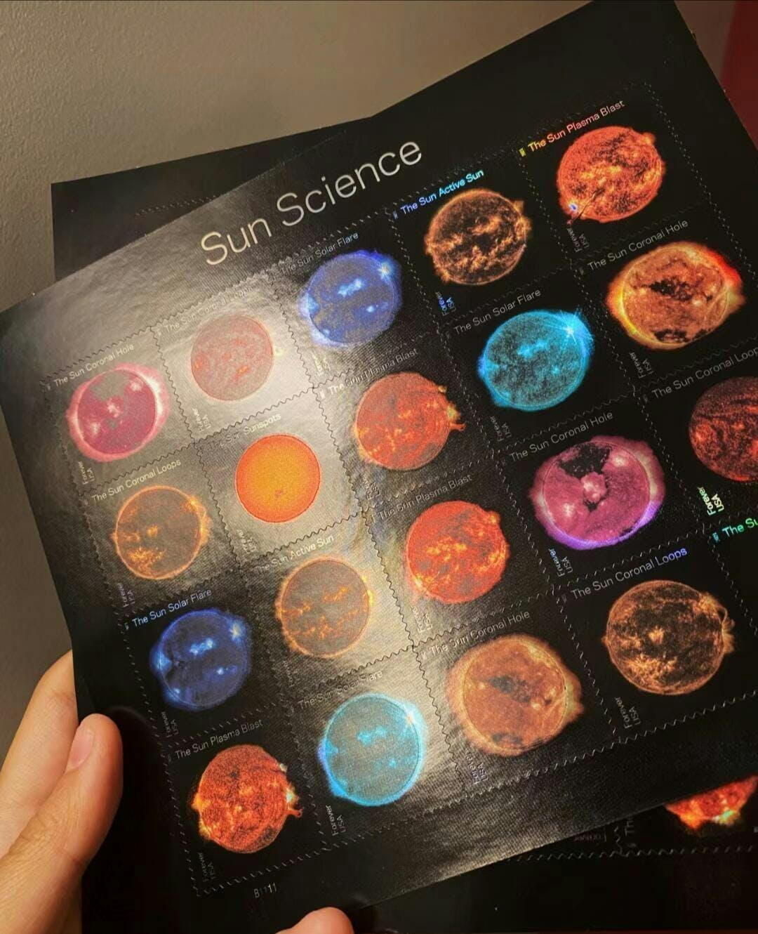 Sun Science 2021 photo review